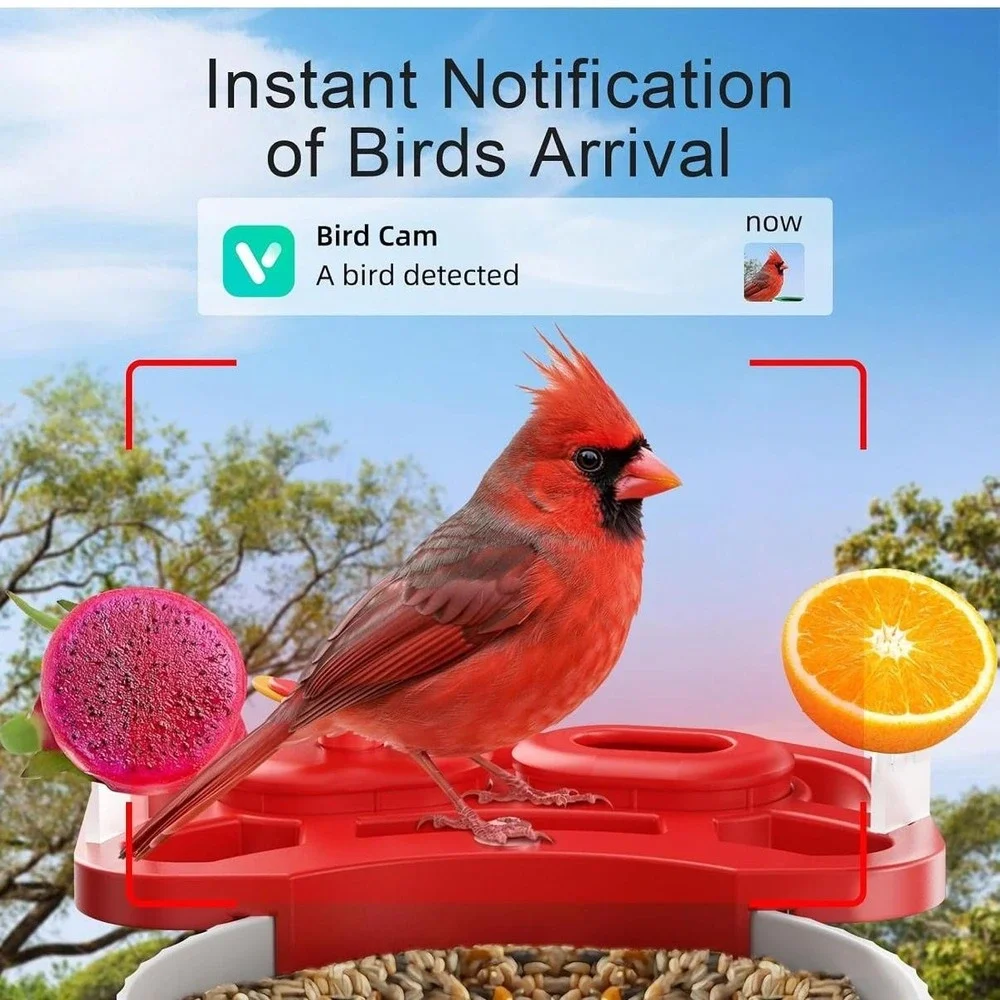 Smart Bird Feeder Camera FB-A08 2K WiFi Solar Powered AI Night Vision Red